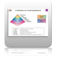 ICE Chart 1 - Pyramid of Performance