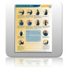 Prescription Pad - Stretches for the Office